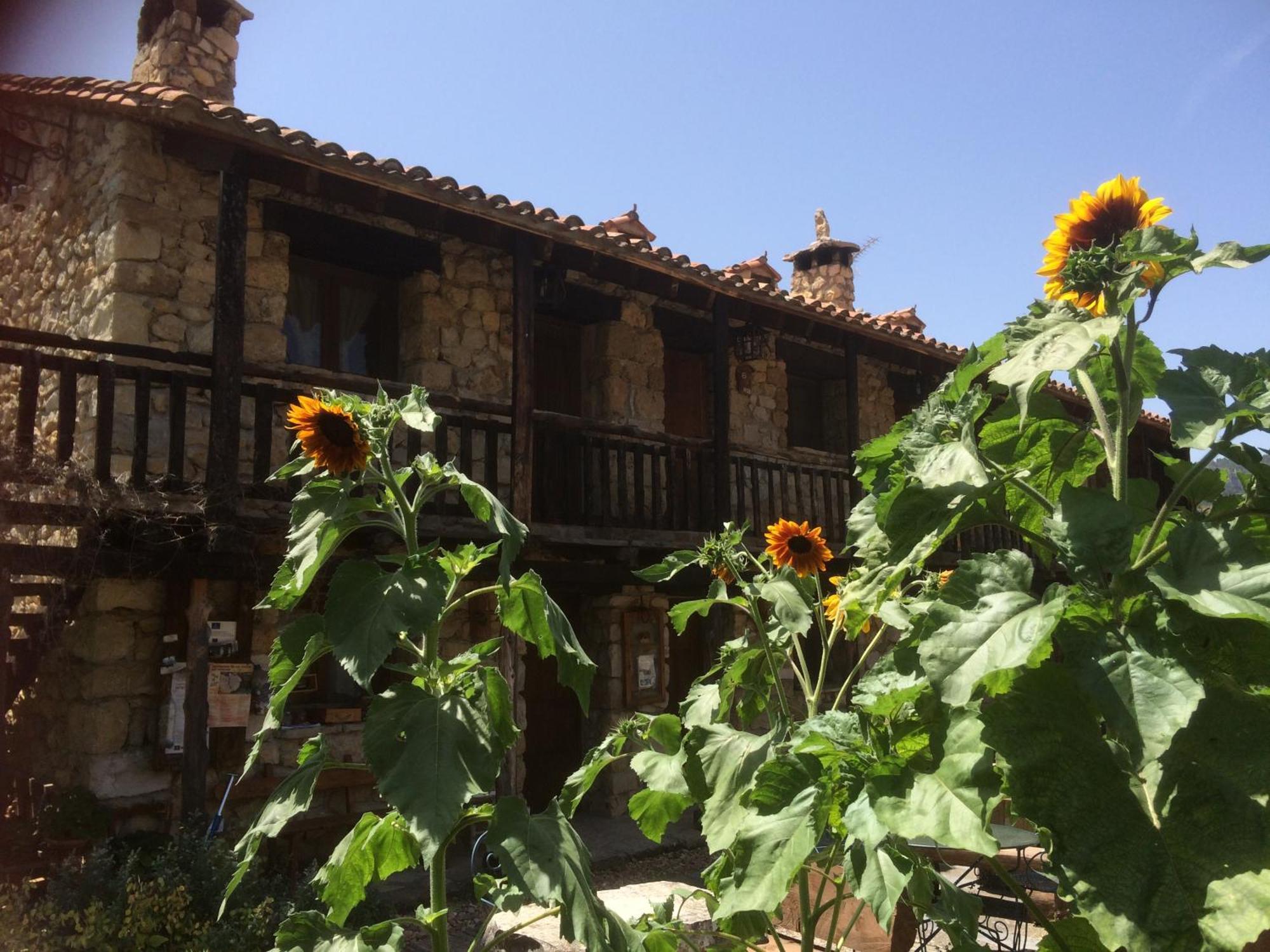 Apartment Chon Alto Tajo *